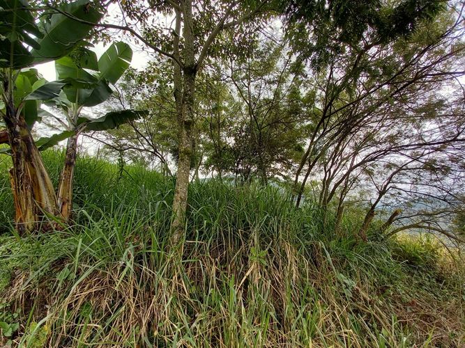 Lote en venta en El Arenillo, Manizales, 380 m² · foto 7 de 17