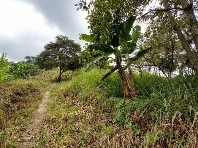 Lote en venta en El Arenillo, Manizales, 380 m² · foto 9 de 17
