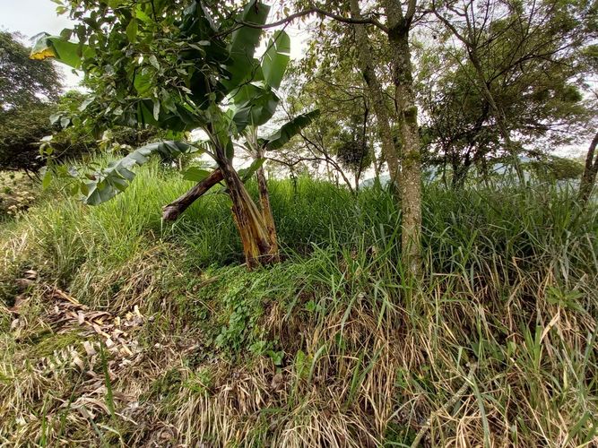 Lote en venta en El Arenillo, Manizales, 380 m² · foto 10 de 17