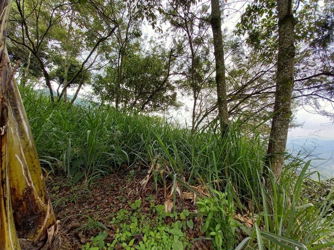 Lote en venta en El Arenillo, Manizales, 380 m² · foto 11 de 17