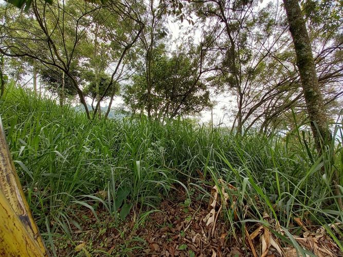 Lote en venta en El Arenillo, Manizales, 380 m² · foto 13 de 17