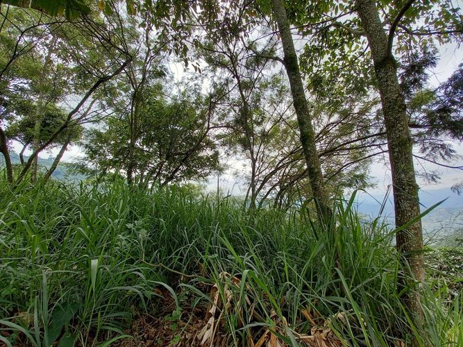 Lote en venta en El Arenillo, Manizales, 380 m² · foto 14 de 17
