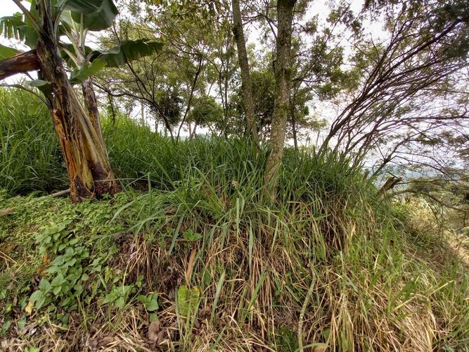 Lote en venta en El Arenillo, Manizales, 380 m² · foto 15 de 17
