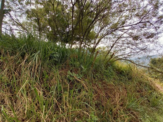 Lote en venta en El Arenillo, Manizales, 380 m² · foto 16 de 17
