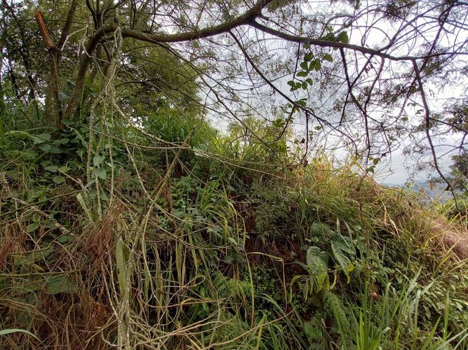 Lote en venta en El Arenillo, Manizales, 380 m² · foto 17 de 17