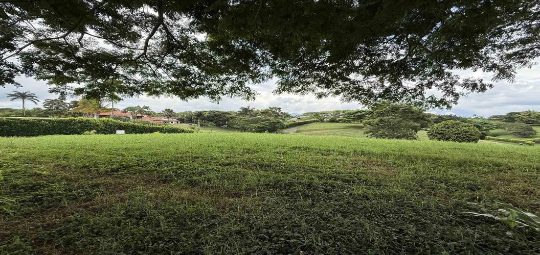 Lote en venta en Cerritos, Pereira · foto 4 de 10
