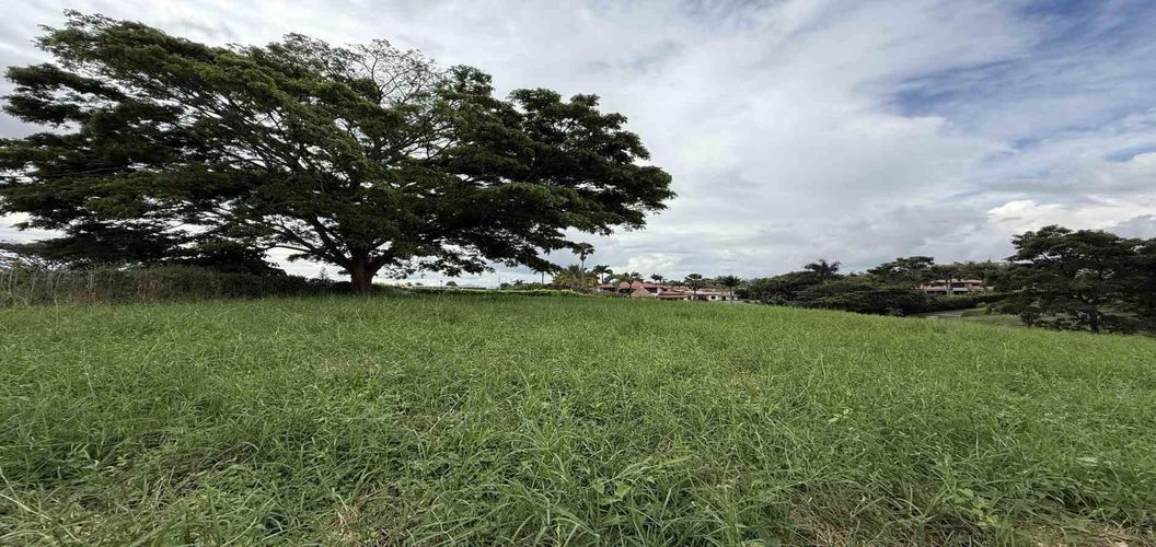 Lote en venta en Cerritos, Pereira · foto 6 de 10