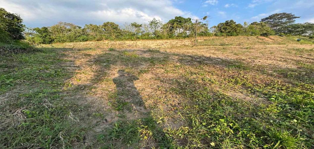 Lote en venta en Tribunas Corcega, Pereira, 1948 m² · foto 2 de 5