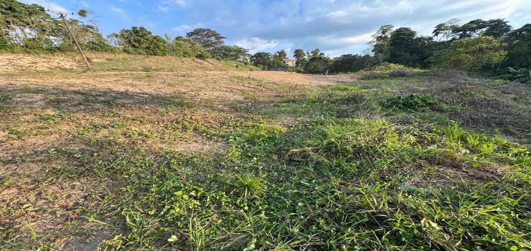 Lote en venta en Tribunas Corcega, Pereira, 1948 m² · foto 3 de 5
