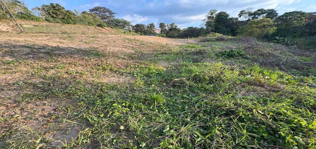 Lote en venta en Tribunas Corcega, Pereira, 1948 m² · foto 4 de 5