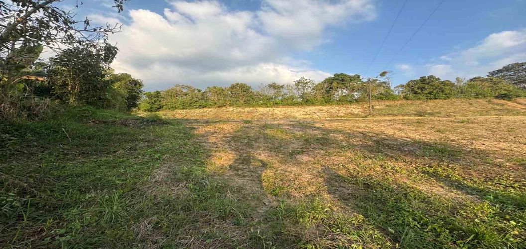 Lote en venta en Tribunas Corcega, Pereira, 1948 m² · foto 5 de 5