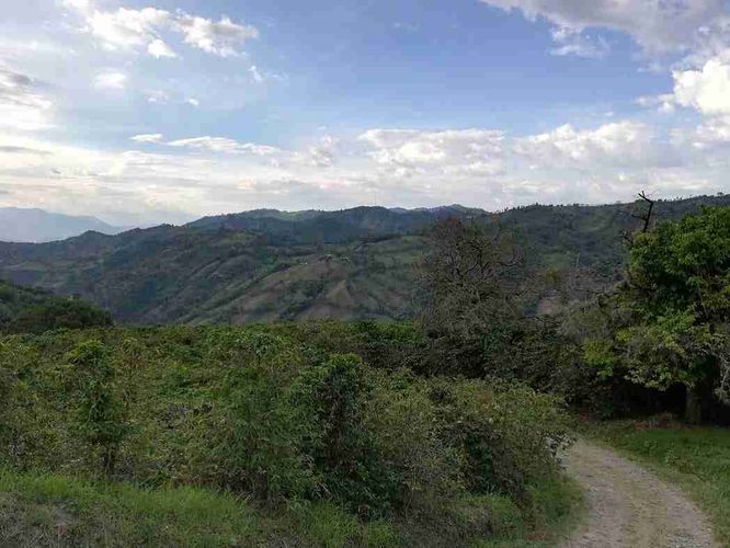Lote en venta en La Cabaña, Manizales, 7611 m² · foto 3 de 20