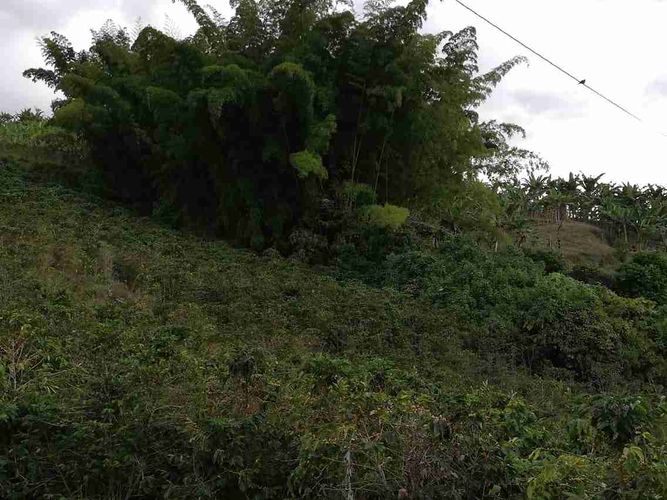 Lote en venta en La Cabaña, Manizales, 7611 m² · foto 6 de 20