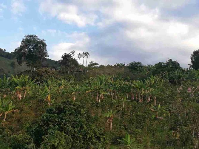 Lote en venta en La Cabaña, Manizales, 7611 m² · foto 7 de 20