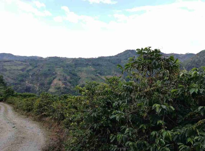 Lote en venta en La Cabaña, Manizales, 7611 m² · foto 11 de 20
