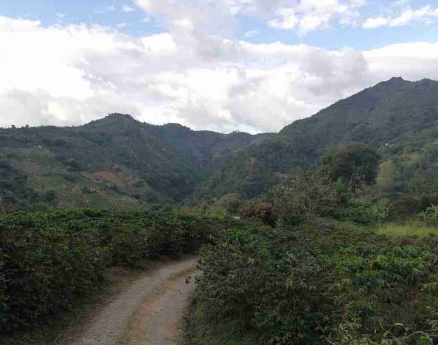 Lote en venta en La Cabaña, Manizales, 7611 m² · foto 13 de 20