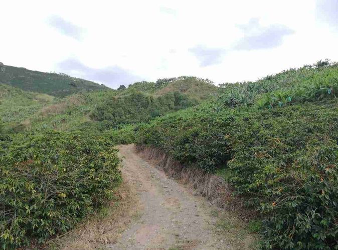 Lote en venta en La Cabaña, Manizales, 7611 m² · foto 15 de 20