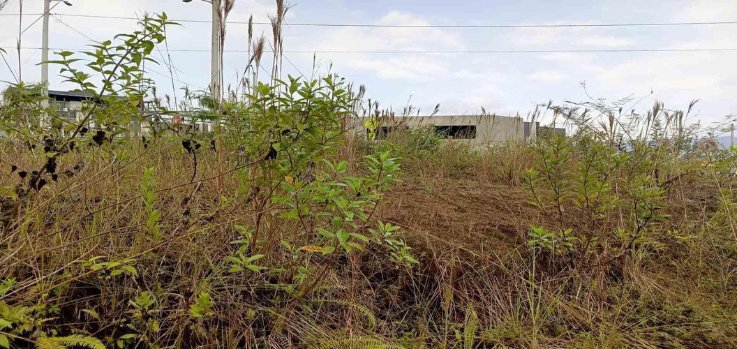 Lote en venta en Campestre A, Dosquebradas, 55 m² · foto 2 de 24