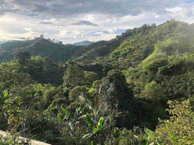 Finca en venta en Combia, Pereira, 91 m² · foto 2 de 14
