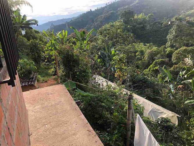 Finca en venta en Combia, Pereira, 91 m² · foto 3 de 14