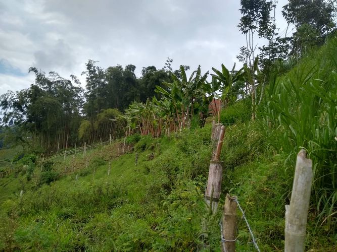 Finca en venta en La Florida, Pereira, 340 m² · foto 2 de 7