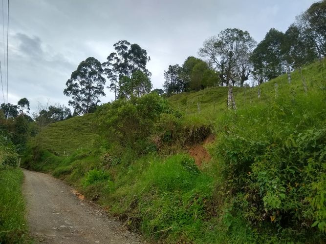 Finca en venta en La Florida, Pereira, 340 m² · foto 3 de 7