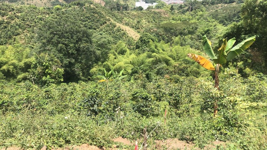 Lote en venta en El Rodeo, Dosquebradas, 200 m² · foto 4 de 12