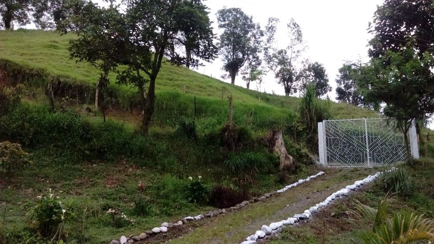 Finca en venta en La Florida, Pereira, 340 m² · foto 4 de 7