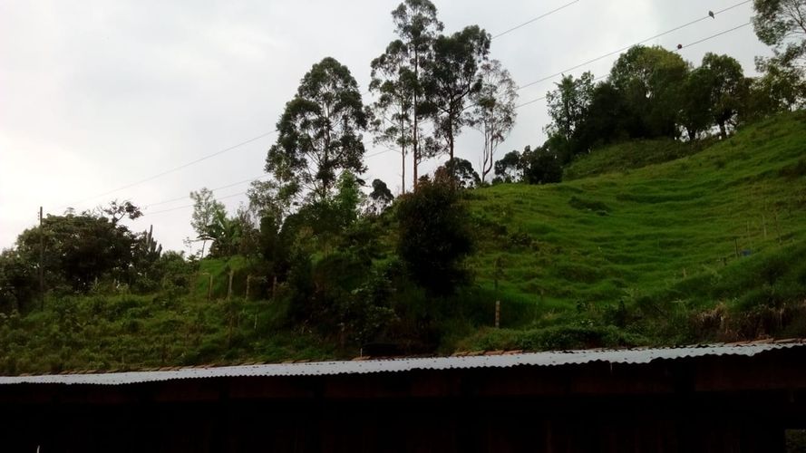 Finca en venta en La Florida, Pereira, 340 m² · foto 5 de 7