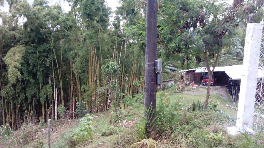 Finca en venta en La Florida, Pereira, 340 m² · foto 6 de 7