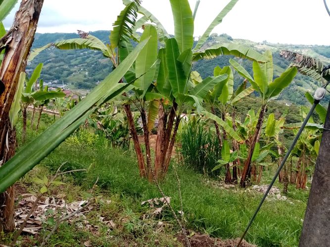 Finca en venta en La Florida, Pereira, 340 m² · foto 7 de 7