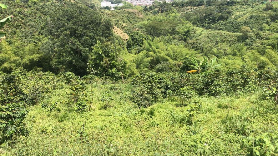 Lote en venta en El Rodeo, Dosquebradas, 200 m² · foto 9 de 12