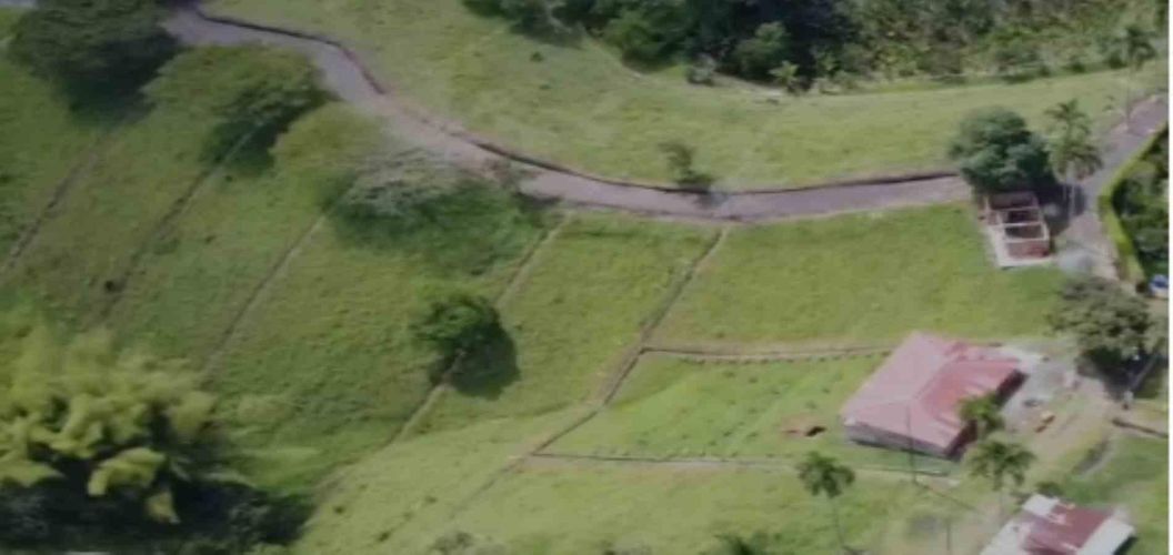 Lote en venta en Morelia, Pereira, 1300 m² · foto 5 de 8
