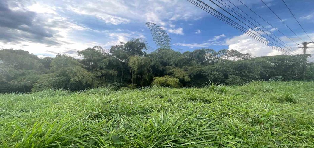 Lote en venta en Avenida Centenario, Armenia · foto 5 de 18