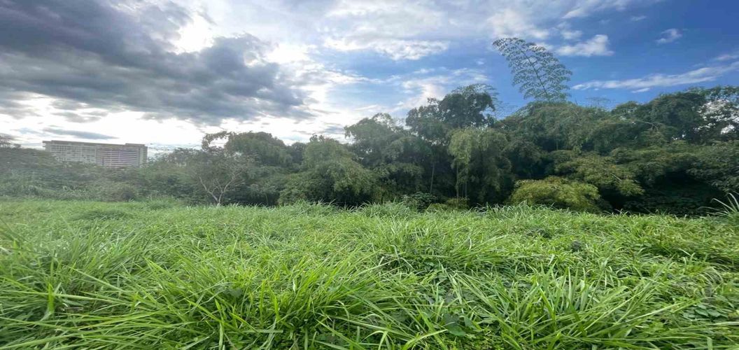 Lote en venta en Avenida Centenario, Armenia · foto 7 de 18
