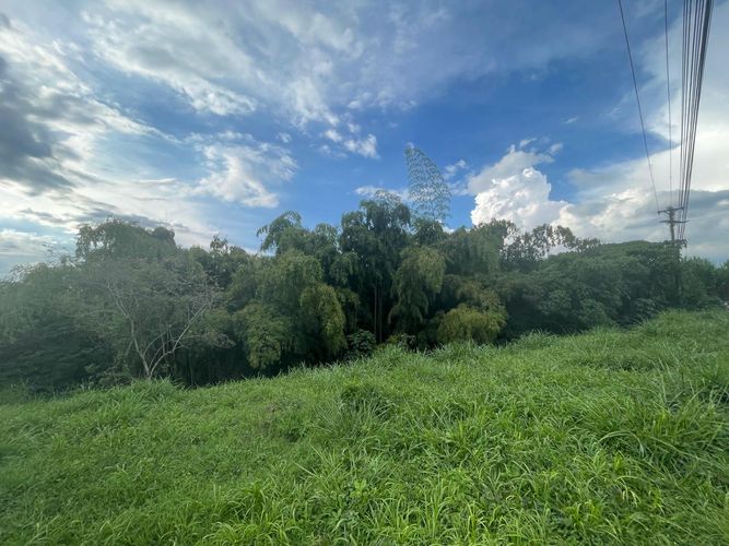 Lote en venta en Avenida Centenario, Armenia · foto 13 de 18