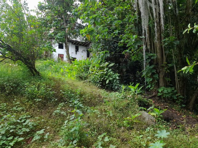 Lote en venta en Sancancio, Manizales, 420 m² · foto 9 de 11