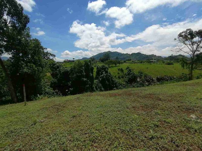 Lote en venta en Combia, Pereira, 5073 m² · foto 3 de 9