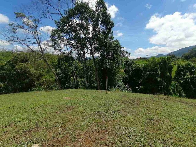 Lote en venta en Combia, Pereira, 5073 m² · foto 4 de 9