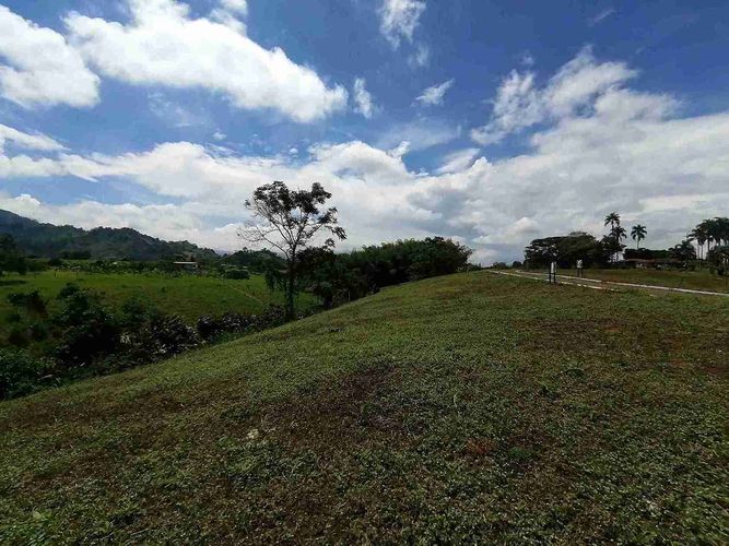 Lote en venta en Combia, Pereira, 5073 m² · foto 6 de 9