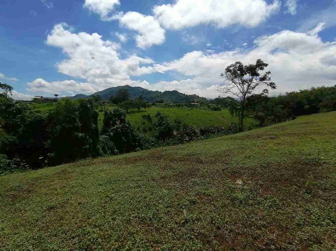 Lote en venta en Combia, Pereira, 5073 m² · foto 7 de 9