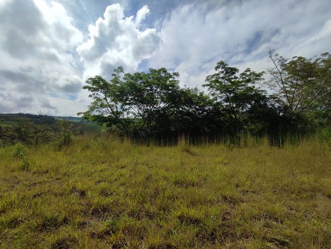 Lote en venta en Cerritos, Pereira · foto 2 de 10