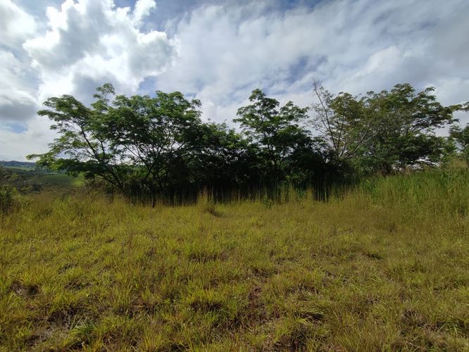 Lote en venta en Cerritos, Pereira · foto 6 de 10