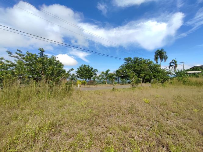 Lote en venta en Cerritos, Pereira · foto 7 de 10