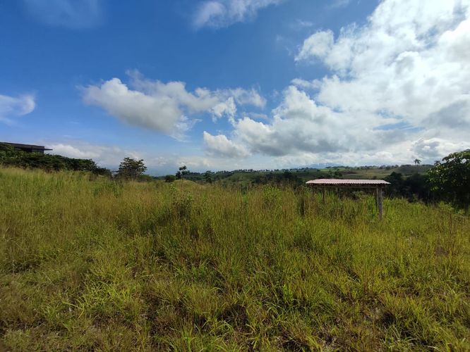 Lote en venta en Cerritos, Pereira · foto 10 de 10