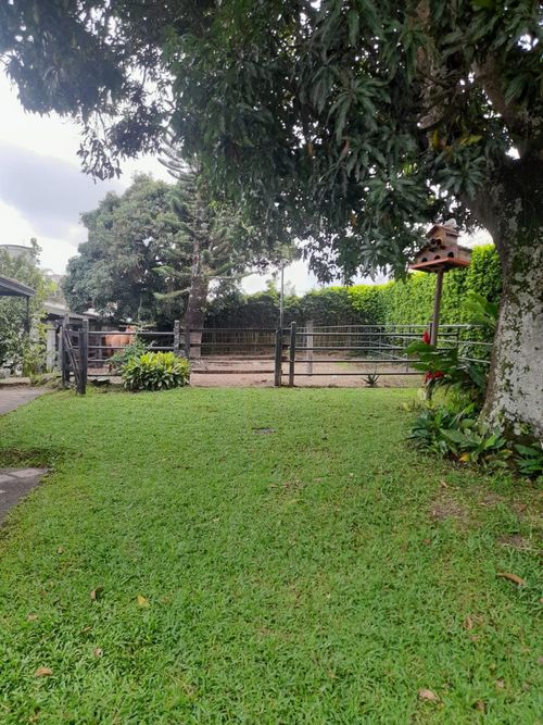 Finca en venta en Morelia, Pereira, 350 m² · foto 9 de 24