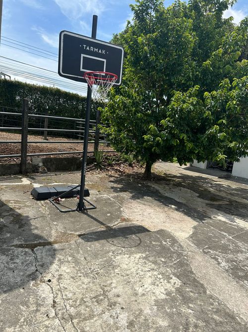 Finca en venta en Morelia, Pereira, 350 m² · foto 12 de 24