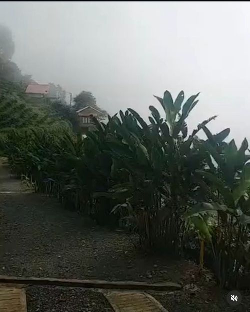 Edificio en venta en Bajo Tablazo, Manizales, 202 m² · foto 12 de 24
