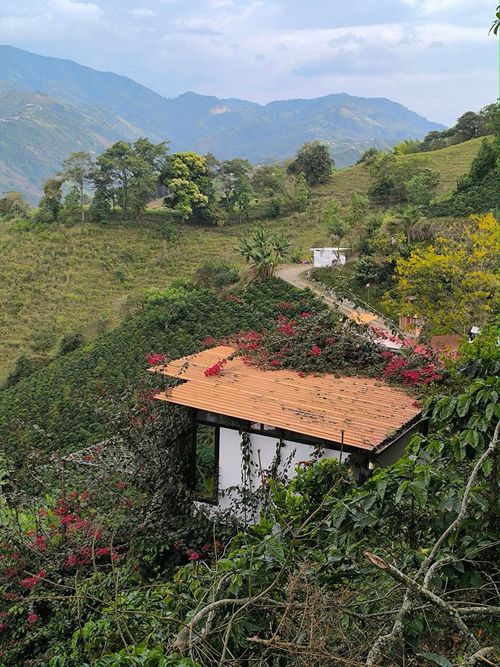 Edificio en venta en Bajo Tablazo, Manizales, 202 m² · foto 21 de 24