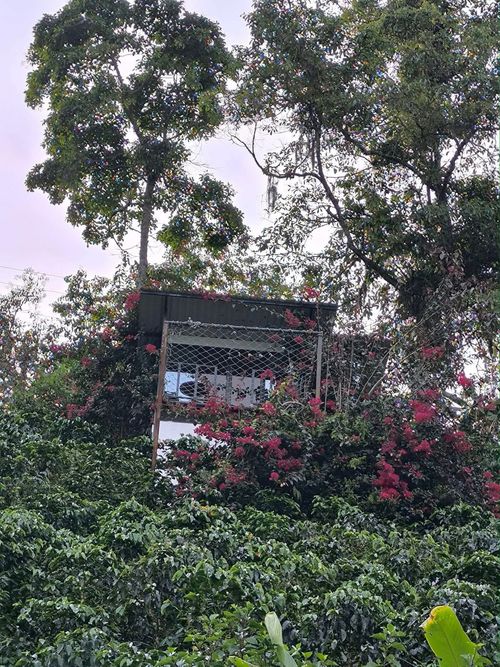 Edificio en venta en Bajo Tablazo, Manizales, 202 m² · foto 23 de 24
